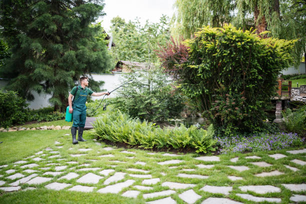 Best Best Pest Control Companies  in St Hedwig, TX