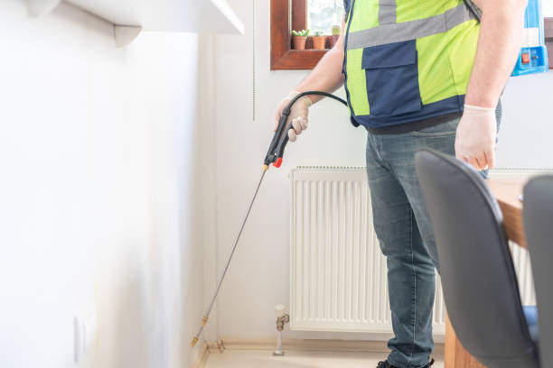 Best Termite Control Services  in St Hedwig, TX