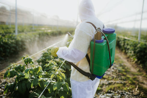 Best Wildlife Control Services  in St Hedwig, TX